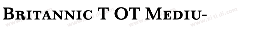 Britannic T OT Mediu字体转换